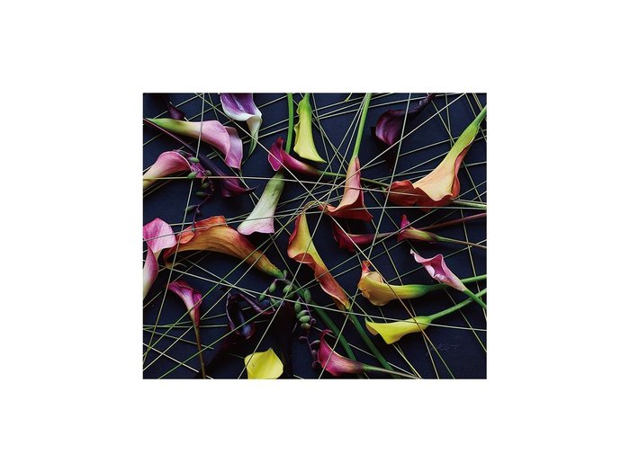 【その他のブランド/Other】のGeometric Scrumble Calla / ジオメトリック スクランブルカラー レクタングルM インテリア・キッズ・メンズ・レディースファッション・服の通販 founy(ファウニー) https://founy.com/ 送料無料 Free Shipping グラス Glass, Eyewear 軽量 Lightweight, Ultra Light |ID: prp329100004945741 ipo3291000000037120721