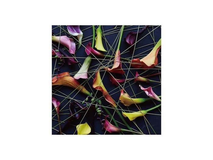 【その他のブランド/Other】のGeometric Scrumble Calla / ジオメトリック スクランブルカラー スクエア インテリア・キッズ・メンズ・レディースファッション・服の通販 founy(ファウニー) https://founy.com/ 送料無料 Free Shipping グラス Glass, Eyewear スクエア Square, Square Shape 軽量 Lightweight, Ultra Light |ID: prp329100004945742 ipo3291000000037120728
