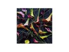 【その他のブランド/Other】のGeometric Scrumble Calla / ジオメトリック スクランブルカラー スクエア -|ID: prp329100004945742 ipo3291000000037120729