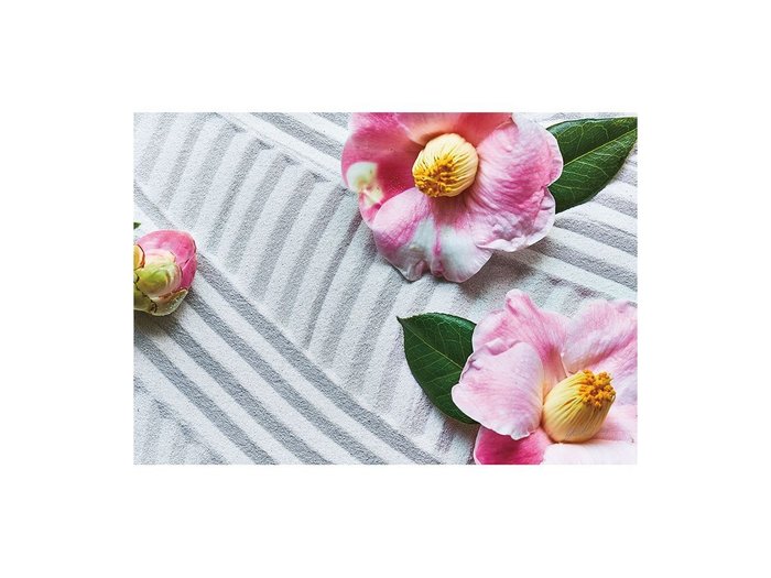 【その他のブランド/Other】のZen Petals Tsubaki / ゼンペタルズ 椿 レクタングルXL インテリア・キッズ・メンズ・レディースファッション・服の通販 founy(ファウニー) https://founy.com/ 送料無料 Free Shipping 軽量 Lightweight, Ultra Light |ID: prp329100004945749 ipo3291000000037120777