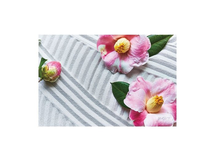 【その他のブランド/Other】のZen Petals Tsubaki / ゼンペタルズ 椿 レクタングルLL インテリア・キッズ・メンズ・レディースファッション・服の通販 founy(ファウニー) https://founy.com/ 送料無料 Free Shipping 軽量 Lightweight, Ultra Light |ID: prp329100004945750 ipo3291000000037120784