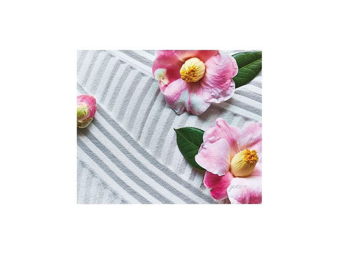 【その他のブランド/Other】のZen Petals Tsubaki / ゼンペタルズ 椿 レクタングルM インテリア・キッズ・メンズ・レディースファッション・服の通販 founy(ファウニー) https://founy.com/ 送料無料 Free Shipping 軽量 Lightweight, Ultra Light |ID: prp329100004945752 ipo3291000000037120797