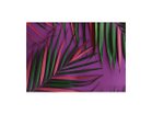 【その他のブランド/Other】のBotanic Palm Pink / ボタニック ピンクパーム レクタングルXL -|ID: prp329100004945754 ipo3291000000037120812