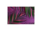 【その他のブランド/Other】のBotanic Palm Pink / ボタニック ピンクパーム レクタングルLL -|ID: prp329100004945755 ipo3291000000037120819