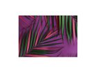 【その他のブランド/Other】のBotanic Palm Pink / ボタニック ピンクパーム レクタングルL -|ID: prp329100004945756 ipo3291000000037120825