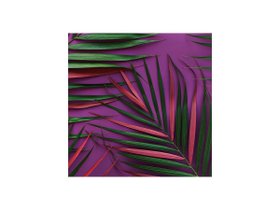 【その他のブランド/Other】のBotanic Palm Pink / ボタニック ピンクパーム スクエア 人気、トレンドファッション・服の通販 founy(ファニー) 送料無料 Free Shipping スクエア Square, Square Shape 軽量 Lightweight, Ultra Light |ID:prp329100004945758