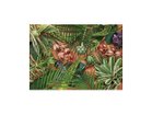 【その他のブランド/Other】のBotanic Orchid Grove / ボタニック オーキッドグローブ レクタングルL -|ID: prp329100004945761 ipo3291000000037120859