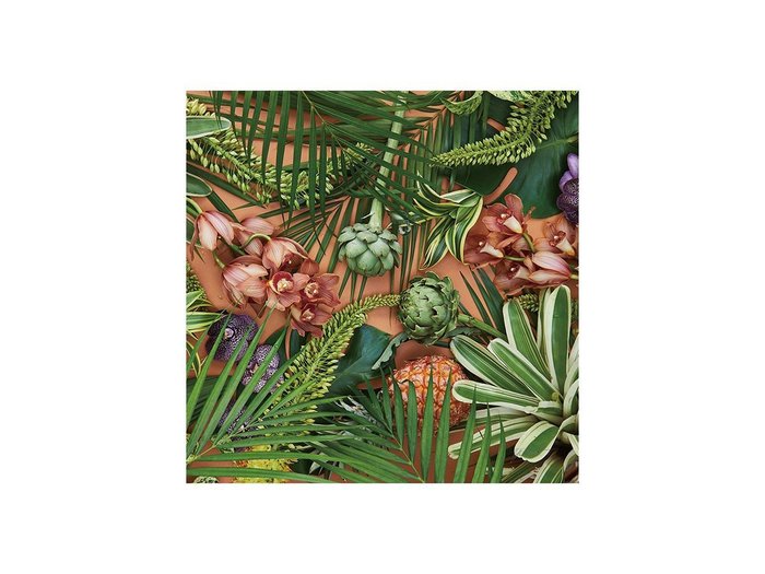 【その他のブランド/Other】のBotanic Orchid Grove / ボタニック オーキッドグローブ スクエア インテリア・キッズ・メンズ・レディースファッション・服の通販 founy(ファウニー) https://founy.com/ 送料無料 Free Shipping スクエア Square, Square Shape エレガント 上品 Elegant 軽量 Lightweight, Ultra Light |ID: prp329100004945763 ipo3291000000037120872