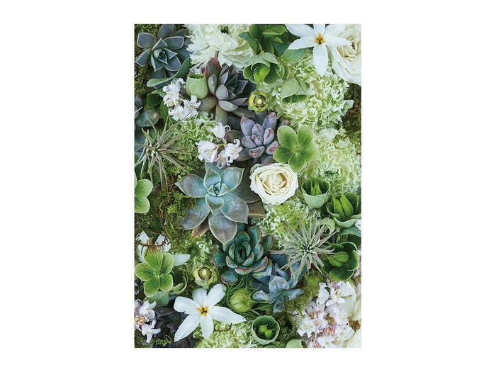 【その他のブランド/Other】のBotanic Succulents / ボタニック サキュレント レクタングルXL インテリア・キッズ・メンズ・レディースファッション・服の通販 founy(ファウニー) https://founy.com/ 送料無料 Free Shipping リーフ Leaf, Botanical Leaf 軽量 Lightweight, Ultra Light |ID: prp329100004945764 ipo3291000000037120879