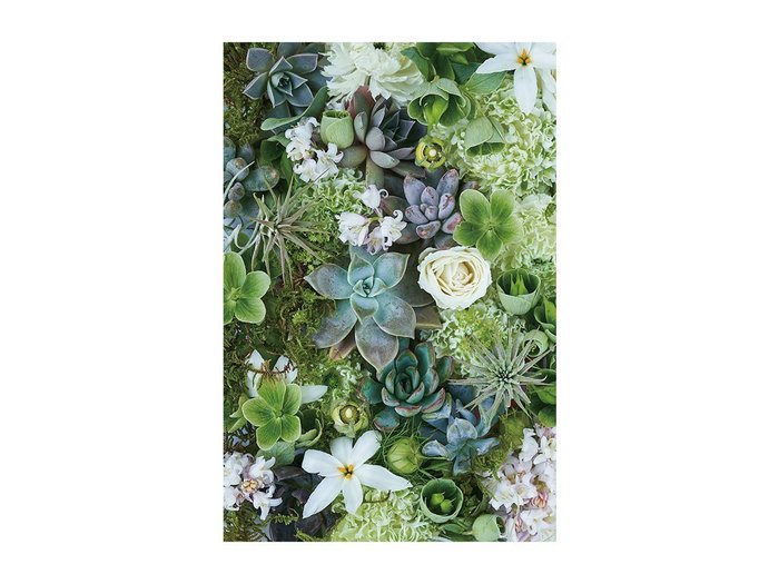 【その他のブランド/Other】のBotanic Succulents / ボタニック サキュレント レクタングルLL インテリア・キッズ・メンズ・レディースファッション・服の通販 founy(ファウニー) https://founy.com/ 送料無料 Free Shipping リーフ Leaf, Botanical Leaf 軽量 Lightweight, Ultra Light |ID: prp329100004945765 ipo3291000000037120885