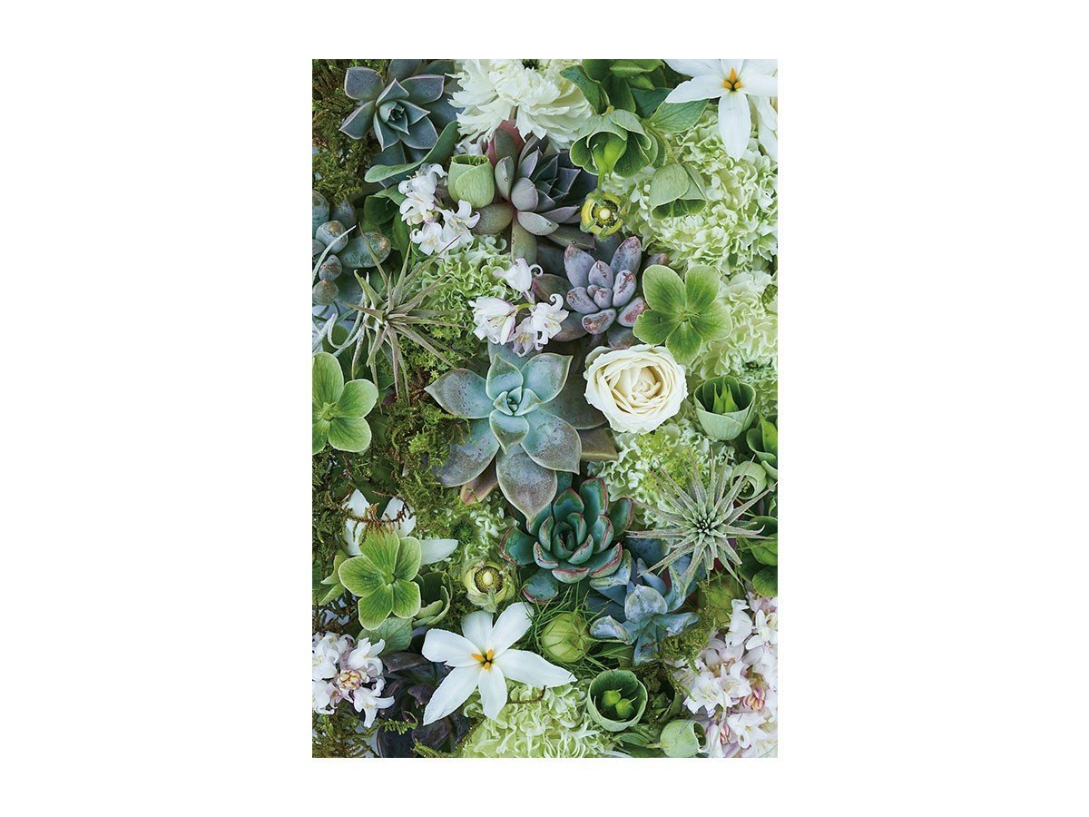 【その他のブランド/Other】のBotanic Succulents / ボタニック サキュレント レクタングルLL 人気、トレンドファッション・服の通販 founy(ファニー) 　送料無料　Free Shipping　リーフ　Leaf, Botanical Leaf　軽量　Lightweight, Ultra Light　 other-1|ID: prp329100004945765 ipo3291000000037120885