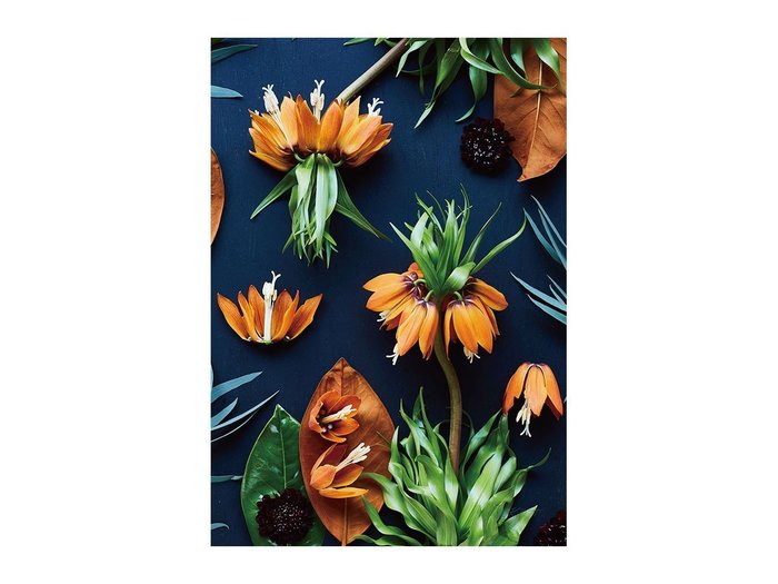 【その他のブランド/Other】のBotanic Fritillaria / ボタニック フリチラリア レクタングルXL インテリア・キッズ・メンズ・レディースファッション・服の通販 founy(ファウニー) https://founy.com/ 送料無料 Free Shipping オレンジ Orange フラワー Flower, Floral 軽量 Lightweight, Ultra Light |ID: prp329100004945766 ipo3291000000037120892