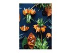 【その他のブランド/Other】のBotanic Fritillaria / ボタニック フリチラリア レクタングルXL -|ID: prp329100004945766 ipo3291000000037120893