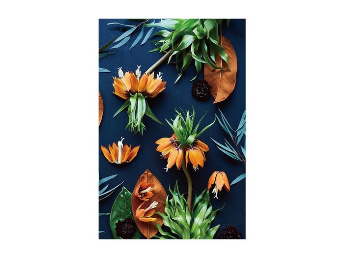 【その他のブランド/Other】のBotanic Fritillaria / ボタニック フリチラリア レクタングルLL インテリア・キッズ・メンズ・レディースファッション・服の通販 founy(ファウニー) https://founy.com/ 送料無料 Free Shipping オレンジ Orange フラワー Flower, Floral 軽量 Lightweight, Ultra Light |ID: prp329100004945767 ipo3291000000037120898