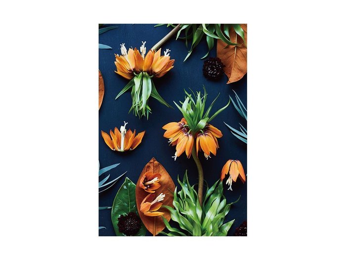 【その他のブランド/Other】のBotanic Fritillaria / ボタニック フリチラリア レクタングルL インテリア・キッズ・メンズ・レディースファッション・服の通販 founy(ファウニー) https://founy.com/ 送料無料 Free Shipping オレンジ Orange フラワー Flower, Floral 軽量 Lightweight, Ultra Light |ID: prp329100004945768 ipo3291000000037120905