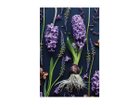 【その他のブランド/Other】のBotanic Hyacinth / ボタニック ヒアシンス レクタングルLL -|ID: prp329100004945772 ipo3291000000037120933