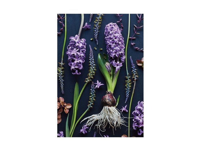 【その他のブランド/Other】のBotanic Hyacinth / ボタニック ヒアシンス レクタングルL インテリア・キッズ・メンズ・レディースファッション・服の通販 founy(ファウニー) https://founy.com/ 送料無料 Free Shipping 軽量 Lightweight, Ultra Light |ID: prp329100004945773 ipo3291000000037120939