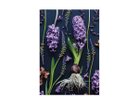 【その他のブランド/Other】のBotanic Hyacinth / ボタニック ヒアシンス レクタングルL -|ID: prp329100004945773 ipo3291000000037120940