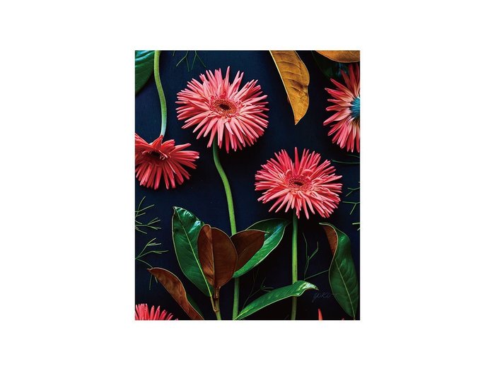 【その他のブランド/Other】のBotanic Daisy / ボタニック デイジー レクタングルM インテリア・キッズ・メンズ・レディースファッション・服の通販 founy(ファウニー) https://founy.com/ 送料無料 Free Shipping クラシカル Classical, Vintage-Inspired モダン Modern, Contemporary 軽量 Lightweight, Ultra Light |ID: prp329100004945778 ipo3291000000037120974