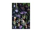 【その他のブランド/Other】のBotanic Crocus / ボタニック クロッカス レクタングルL -|ID: prp329100004945781 ipo3291000000037120995