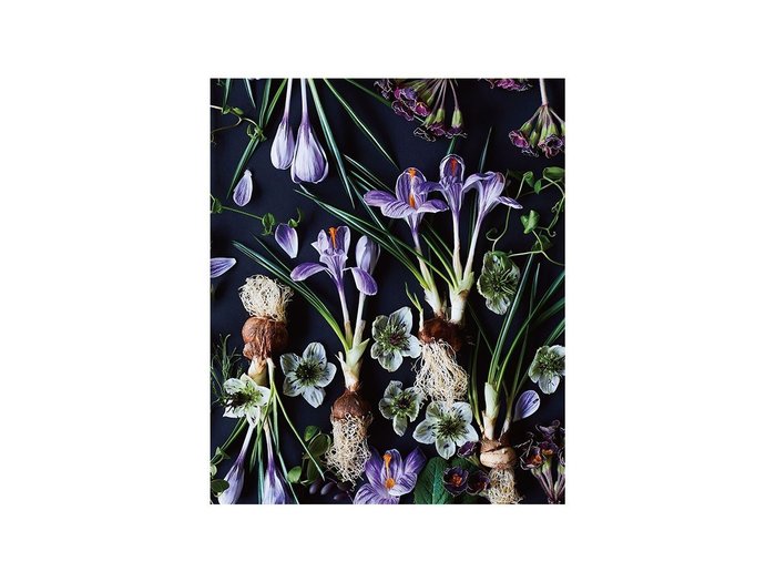 【その他のブランド/Other】のBotanic Crocus / ボタニック クロッカス レクタングルM インテリア・キッズ・メンズ・レディースファッション・服の通販 founy(ファウニー) https://founy.com/ 送料無料 Free Shipping 軽量 Lightweight, Ultra Light |ID: prp329100004945782 ipo3291000000037121001