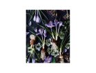 【その他のブランド/Other】のBotanic Crocus / ボタニック クロッカス レクタングルM -|ID: prp329100004945782 ipo3291000000037121002