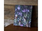 【その他のブランド/Other】のBotanic Crocus / ボタニック クロッカス スクエア 参考イメージ|ID: prp329100004945783 ipo3291000000037121010
