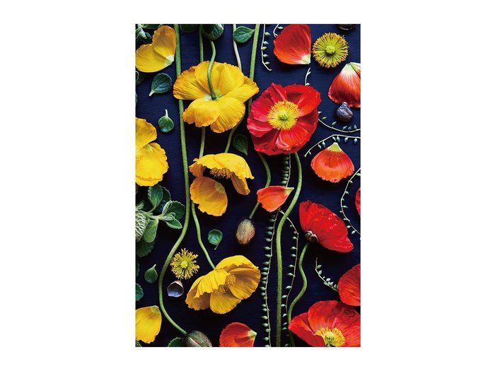 【その他のブランド/Other】のBotanic Poppy / ボタニック ポピー レクタングルXL インテリア・キッズ・メンズ・レディースファッション・服の通販 founy(ファウニー) https://founy.com/ 送料無料 Free Shipping オレンジ Orange 軽量 Lightweight, Ultra Light |ID: prp329100004945784 ipo3291000000037121014