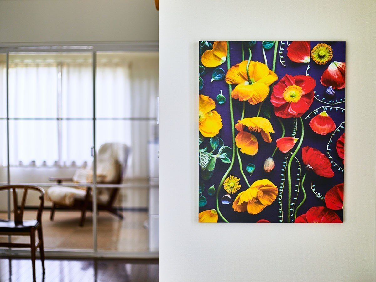 【その他のブランド/Other】のBotanic Poppy / ボタニック ポピー レクタングルXL インテリア・キッズ・メンズ・レディースファッション・服の通販 founy(ファニー) 　送料無料　Free Shipping　オレンジ　Orange　軽量　Lightweight, Ultra Light　参考イメージ|ID: prp329100004945784 ipo3291000000037121016