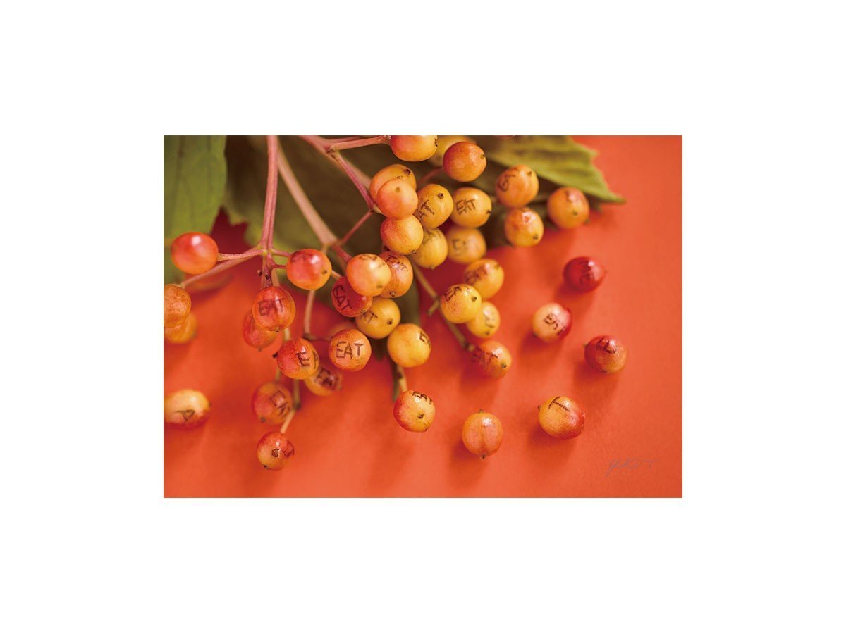 【その他のブランド/Other】のFood inspiered Eat Me / フードインスパイアード イートミー レクタングルL インテリア・キッズ・メンズ・レディースファッション・服の通販 founy(ファニー) 　送料無料　Free Shipping　軽量　Lightweight, Ultra Light　-|ID: prp329100004945844 ipo3291000000037121257