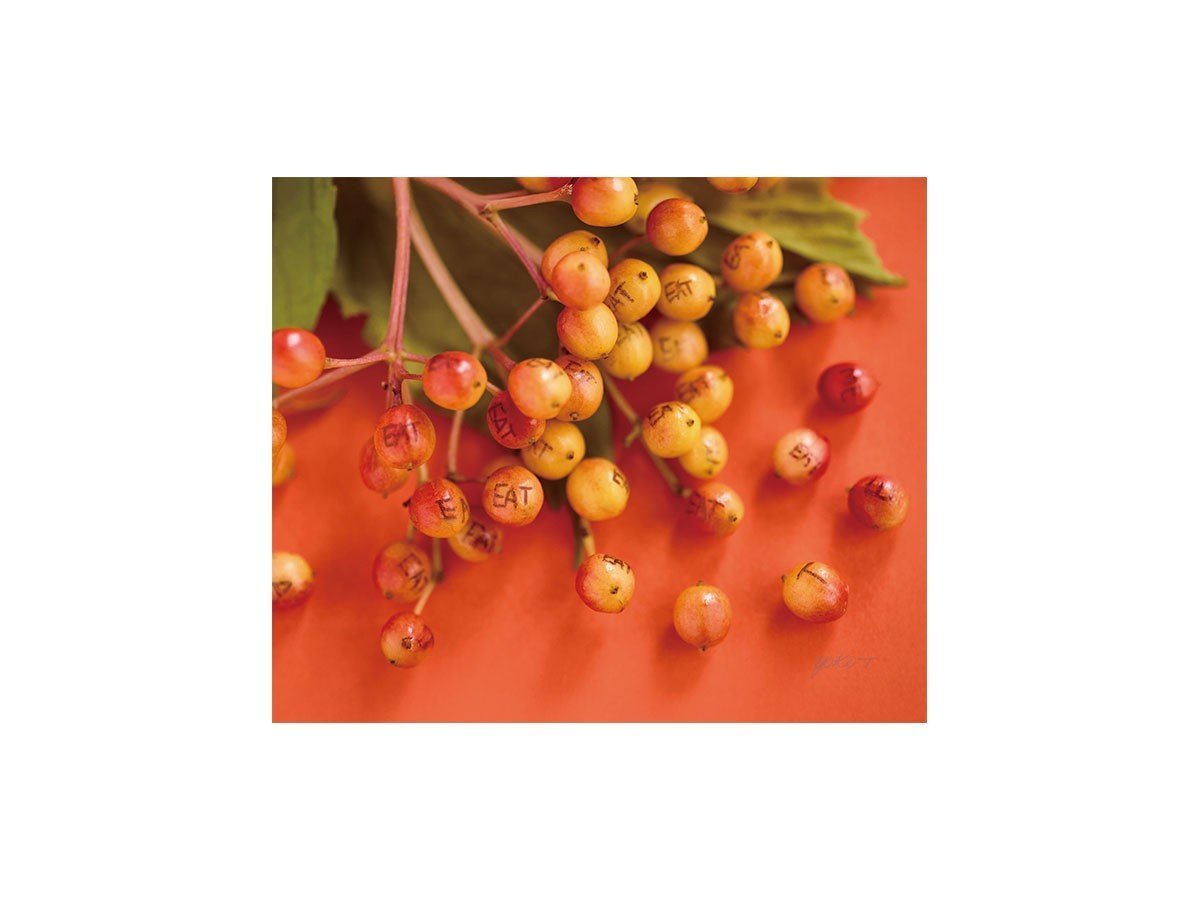 【その他のブランド/Other】のFood inspiered Eat Me / フードインスパイアード イートミー レクタングルM 人気、トレンドファッション・服の通販 founy(ファニー) 　送料無料　Free Shipping　軽量　Lightweight, Ultra Light　 other-1|ID: prp329100004945845 ipo3291000000037121263