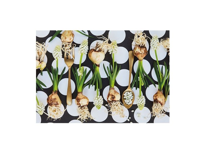 【その他のブランド/Other】のFood inspiered Silver Muscari / フードインスパイアード シルバームスカリ レクタングルXL インテリア・キッズ・メンズ・レディースファッション・服の通販 founy(ファウニー) https://founy.com/ 送料無料 Free Shipping テーブル Table, Dining Table 軽量 Lightweight, Ultra Light |ID: prp329100004945852 ipo3291000000037121312