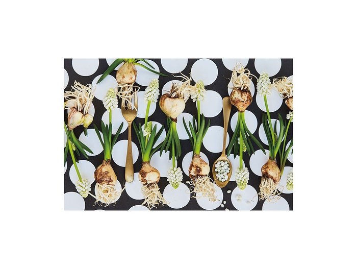 【その他のブランド/Other】のFood inspiered Silver Muscari / フードインスパイアード シルバームスカリ レクタングルLL インテリア・キッズ・メンズ・レディースファッション・服の通販 founy(ファウニー) https://founy.com/ 送料無料 Free Shipping テーブル Table, Dining Table 軽量 Lightweight, Ultra Light |ID: prp329100004945853 ipo3291000000037121318