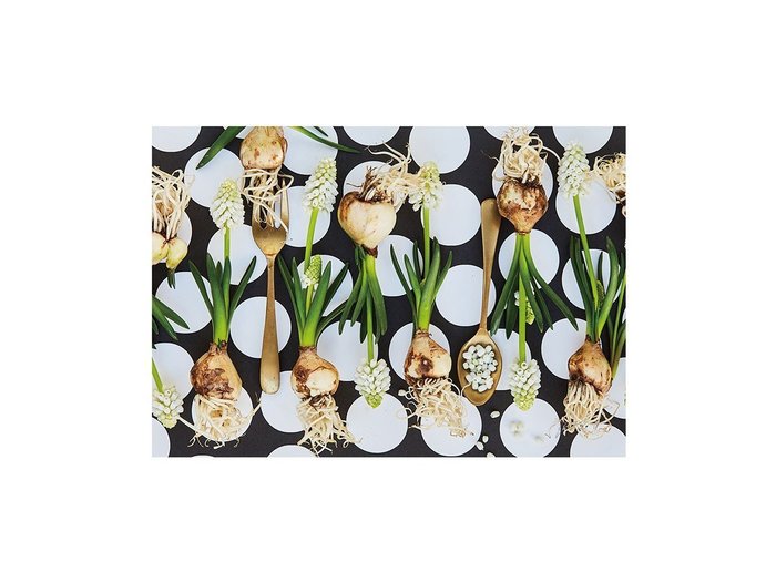【その他のブランド/Other】のFood inspiered Silver Muscari / フードインスパイアード シルバームスカリ レクタングルL インテリア・キッズ・メンズ・レディースファッション・服の通販 founy(ファウニー) https://founy.com/ 送料無料 Free Shipping テーブル Table, Dining Table 軽量 Lightweight, Ultra Light |ID: prp329100004945854 ipo3291000000037121325