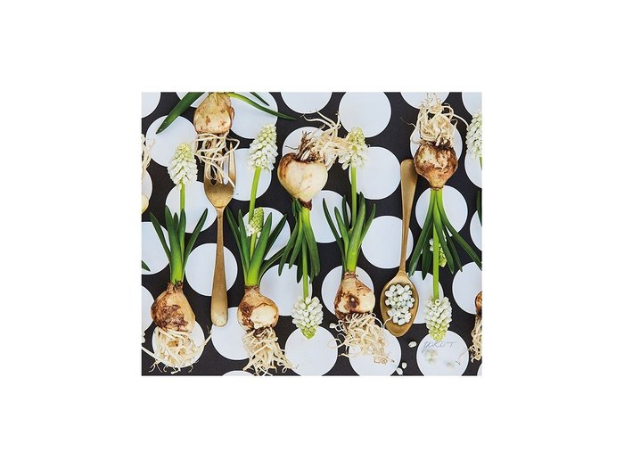 【その他のブランド/Other】のFood inspiered Silver Muscari / フードインスパイアード シルバームスカリ レクタングルM インテリア・キッズ・メンズ・レディースファッション・服の通販 founy(ファウニー) https://founy.com/ 送料無料 Free Shipping テーブル Table, Dining Table 軽量 Lightweight, Ultra Light |ID: prp329100004945855 ipo3291000000037121332