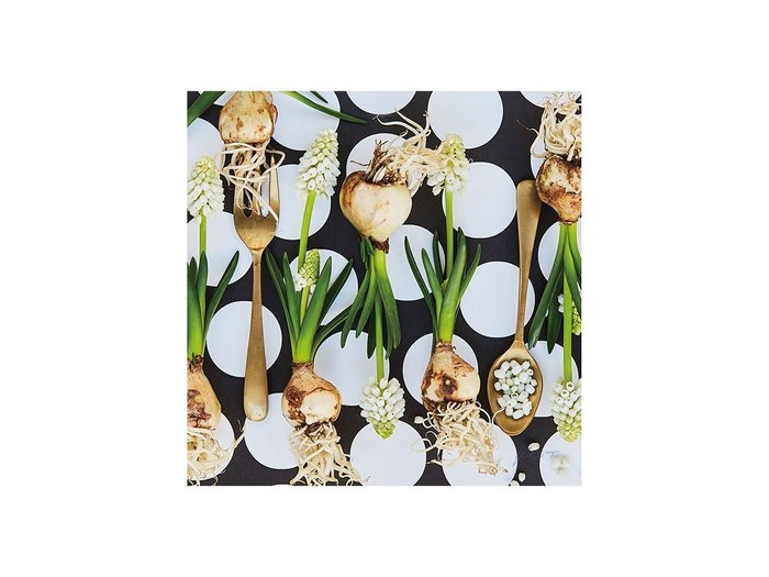 【その他のブランド/Other】のFood inspiered Silver Muscari / フードインスパイアード シルバームスカリ スクエア インテリア・キッズ・メンズ・レディースファッション・服の通販 founy(ファウニー) https://founy.com/ 送料無料 Free Shipping スクエア Square, Square Shape テーブル Table, Dining Table 軽量 Lightweight, Ultra Light |ID: prp329100004945856 ipo3291000000037121339
