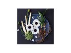 【その他のブランド/Other】のFood inspiered Dish Flowers Asparagus / フードインスパイアード アスパラ -|ID: prp329100004945857 ipo3291000000037121347