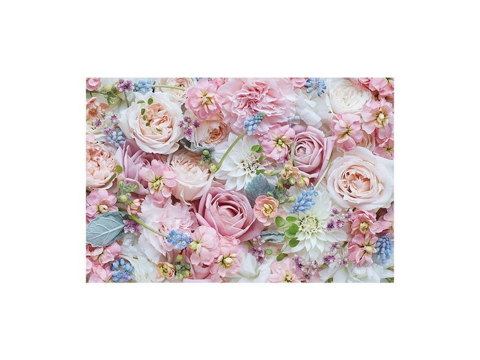 【その他のブランド/Other】のPastel Bloom Rose Hermoney / パステルブルーム ローズハーモニー レクタングルLL インテリア・キッズ・メンズ・レディースファッション・服の通販 founy(ファウニー) https://founy.com/ 送料無料 Free Shipping シルバー Silver, Metallic Silver リーフ Leaf, Botanical Leaf ローズ Rose, Rose Motif 軽量 Lightweight, Ultra Light |ID: prp329100004945859 ipo3291000000037121361