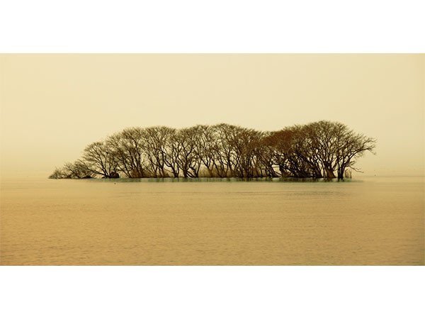 【アイグレボゥ/IGREBOW / GOODS】の日本 冬の琵琶湖 / 日本 冬の琵琶湖 1 × 2[ J-612-47 ] インテリア・キッズ・メンズ・レディースファッション・服の通販 founy(ファニー) 　送料無料　Free Shipping　フラット　Flat, Flat Shoes　プリント　Print, Printed Pattern　モダン　Modern, Contemporary　ランダム　Random, Irregular　冬　Winter / This Winter　日本 / 冬の琵琶湖|ID: prp329100004945865 ipo3291000000037121448