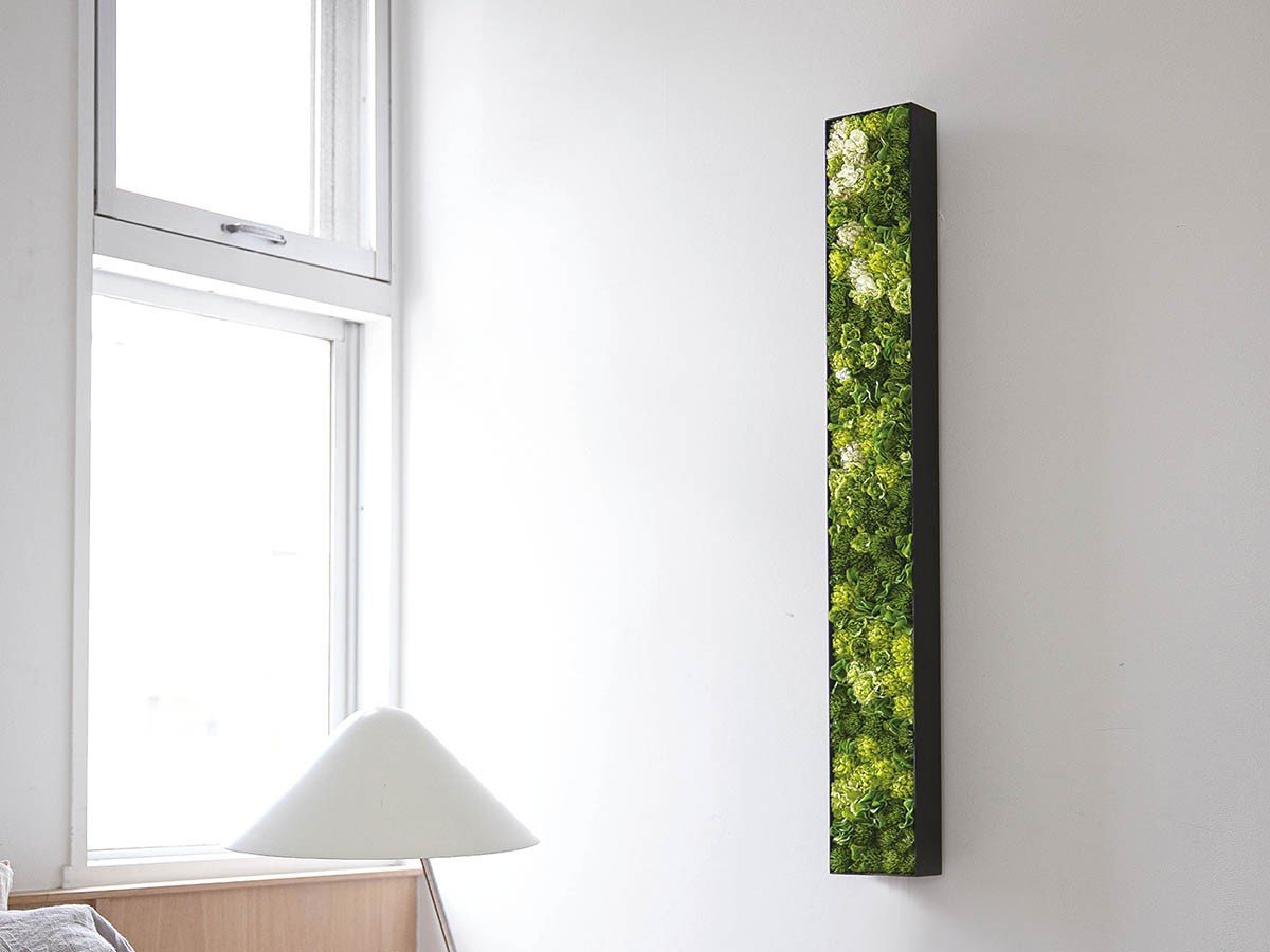 【雨/Ame / GOODS】の天地窓 - tenchimado - / 天地窓 90cm インテリア・キッズ・メンズ・レディースファッション・服の通販 founy(ファニー) 　送料無料　Free Shipping　バランス　Balance, Style Balance　フラワー　Flower, Floral　フレーム　Frame, Outline　軽量　Lightweight, Ultra Light　ホーム・キャンプ・アウトドア・お取り寄せ　Home Living / Home & Lifestyle / Camping Gear / Outdoor Camping　家具・インテリア　Home Furniture & Interior. Stylish & Functional Living Spaces　その他 インテリア雑貨、家具　Home Decor & Furniture Extras　カラーパターン:若草|ID: prp329100004945902 ipo3291000000037121633