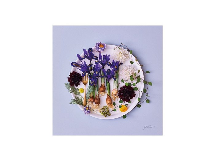 【その他のブランド/Other】のFood inspiered Dish Flowers Grace / フードインスパイアード グレース インテリア・キッズ・メンズ・レディースファッション・服の通販 founy(ファウニー) https://founy.com/ 送料無料 Free Shipping プレート Plate, Dish 軽量 Lightweight, Ultra Light |ID: prp329100004945903 ipo3291000000037121647