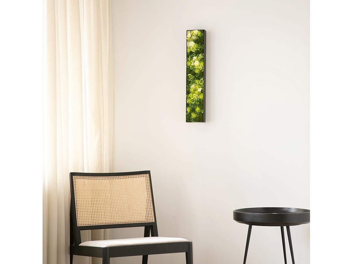 【雨/Ame / GOODS】の天地窓 - tenchimado - / 天地窓 60cm インテリア・キッズ・メンズ・レディースファッション・服の通販 founy(ファニー) 　送料無料　Free Shipping　バランス　Balance, Style Balance　フラワー　Flower, Floral　フレーム　Frame, Outline　軽量　Lightweight, Ultra Light　ホーム・キャンプ・アウトドア・お取り寄せ　Home Living / Home & Lifestyle / Camping Gear / Outdoor Camping　家具・インテリア　Home Furniture & Interior. Stylish & Functional Living Spaces　その他 インテリア雑貨、家具　Home Decor & Furniture Extras　カラーパターン:若草|ID: prp329100004945916 ipo3291000000037121703