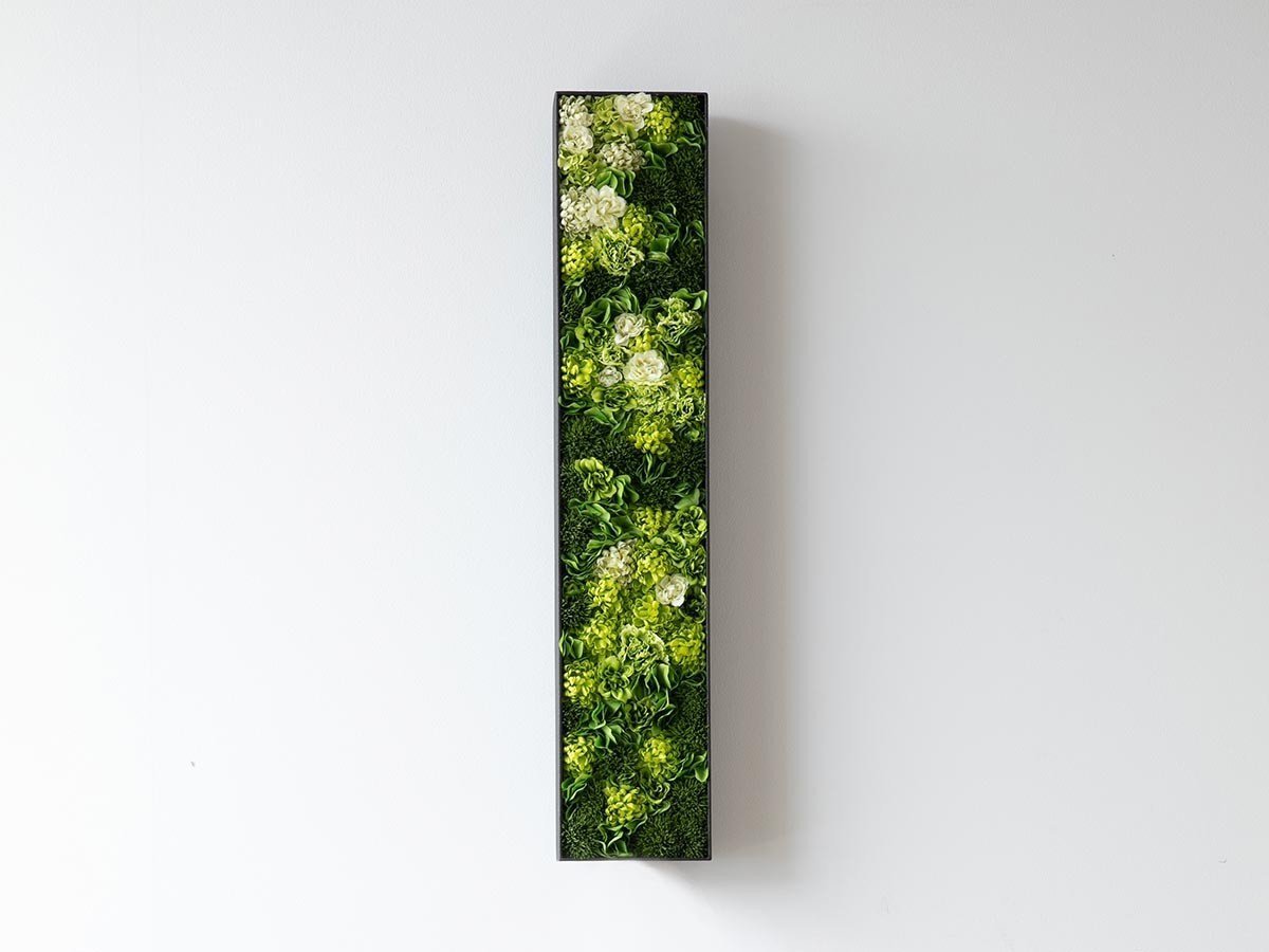 【雨/Ame / GOODS】の天地窓 - tenchimado - / 天地窓 60cm インテリア・キッズ・メンズ・レディースファッション・服の通販 founy(ファニー) 　送料無料　Free Shipping　バランス　Balance, Style Balance　フラワー　Flower, Floral　フレーム　Frame, Outline　軽量　Lightweight, Ultra Light　ホーム・キャンプ・アウトドア・お取り寄せ　Home Living / Home & Lifestyle / Camping Gear / Outdoor Camping　家具・インテリア　Home Furniture & Interior. Stylish & Functional Living Spaces　その他 インテリア雑貨、家具　Home Decor & Furniture Extras　カラーパターン:若草|ID: prp329100004945916 ipo3291000000037121707