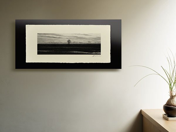 【アイグレボゥ/IGREBOW / GOODS】の日本 堤防の木と立山連峰 / 日本 堤防の木と立山連峰 1 × 3[ 8-617-79 ] 人気、トレンドファッション・服の通販 founy(ファニー) 　フラット　Flat, Flat Shoes　プリント　Print, Printed Pattern　モダン　Modern, Contemporary　ランダム　Random, Irregular　送料無料　Free Shipping　 other-1|ID: prp329100004945926 ipo3291000000037121774