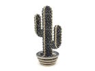 【アフテル/AFTERU / GOODS】のWOODEN CACTUS / ウッデン カクタス ブラック|ID: prp329100004945933 ipo3291000000037121818