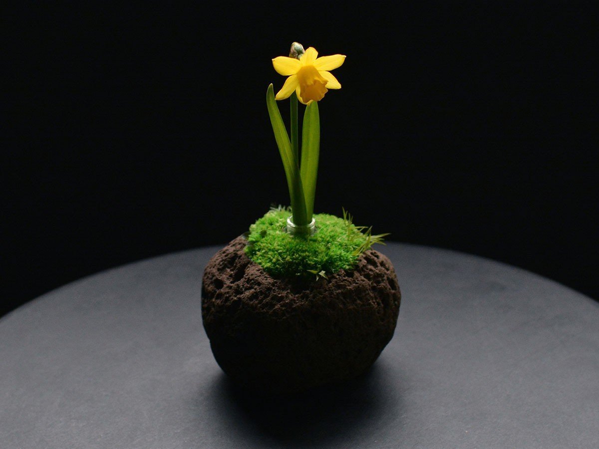 【雨/Ame / GOODS】の時山 - tokiyama - / 時山 浮石 小 インテリア・キッズ・メンズ・レディースファッション・服の通販 founy(ファニー) 　送料無料　Free Shipping　ガラス　Glass, Glassware　フラワー　Flower, Floral　ホーム・キャンプ・アウトドア・お取り寄せ　Home Living / Home & Lifestyle / Camping Gear / Outdoor Camping　家具・インテリア　Home Furniture & Interior. Stylish & Functional Living Spaces　その他 インテリア雑貨、家具　Home Decor & Furniture Extras　-|ID: prp329100004945941 ipo3291000000037121860