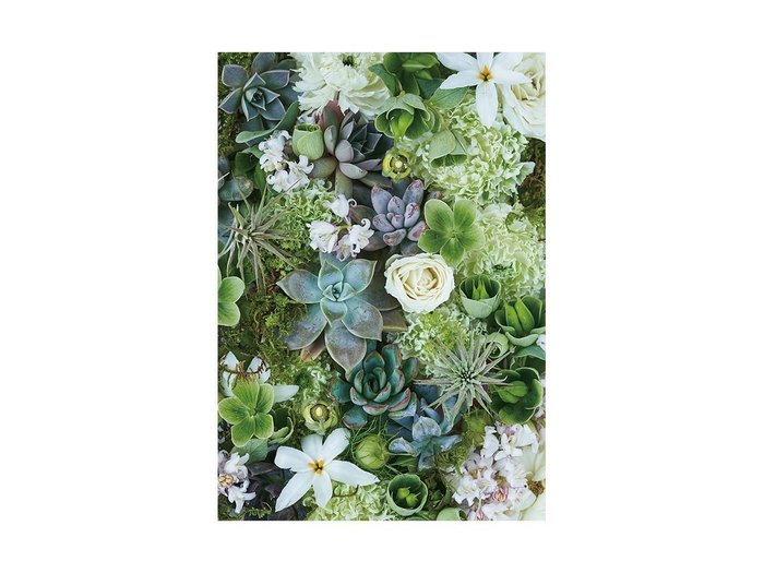 【その他のブランド/Other】のBotanic Succulents / ボタニック サキュレント レクタングルL インテリア・キッズ・メンズ・レディースファッション・服の通販 founy(ファウニー) https://founy.com/ 送料無料 Free Shipping リーフ Leaf, Botanical Leaf 軽量 Lightweight, Ultra Light |ID: prp329100004945969 ipo3291000000037121983