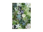 【その他のブランド/Other】のBotanic Succulents / ボタニック サキュレント レクタングルL -|ID: prp329100004945969 ipo3291000000037121984