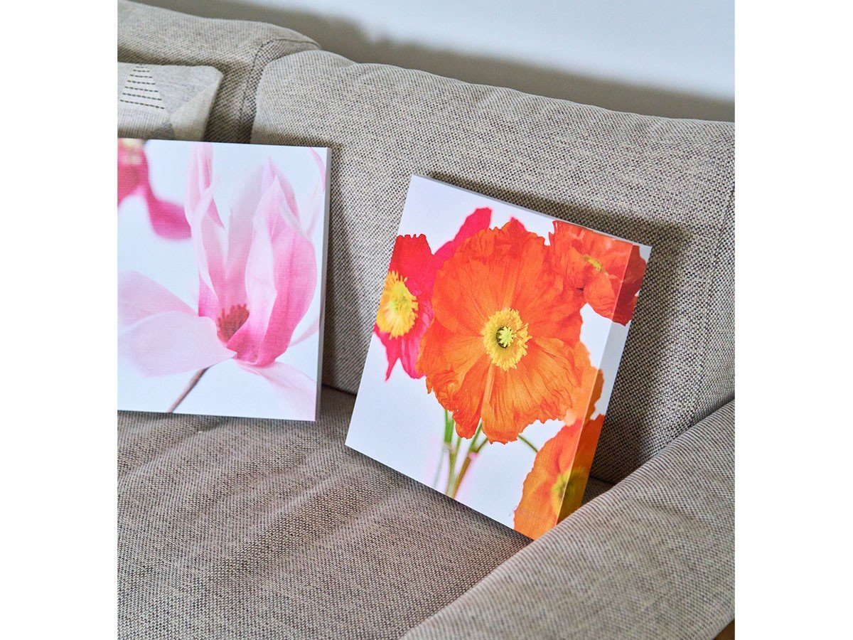 【その他のブランド/Other】のPastel Bloom Orange Poppy / パステルブルーム オレンジポピー インテリア・キッズ・メンズ・レディースファッション・服の通販 founy(ファニー) 　送料無料　Free Shipping　ペーパー　Paper, Kraft Paper　軽量　Lightweight, Ultra Light　サイズ:M|ID: prp329100004945985 ipo3291000000037122082