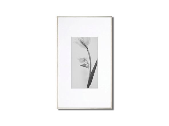 【アイグレボゥ/IGREBOW / GOODS】のFLOWER / フラワー1 × 2[ f_612_7 ] インテリア・キッズ・メンズ・レディースファッション・服の通販 founy(ファニー) 　送料無料　Free Shipping　アクリル　Acrylic Material　シンプル　Simple, Minimal　スタンダード　Standard, Basic　チューリップ　Tube, Tube Top　フォルム　Silhouette, Form　フラワー　Flower, Floral　フレーム　Frame, Outline　フレームタイプ:アルミ額、サイズ:Rサイズ|ID: prp329100004945992 ipo3291000000037122106